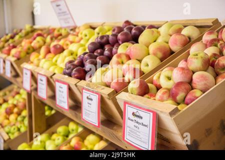 Hood River, Oregon, USA. Acane (Tokyo Rose) and other apples for sale at a fruit stand. Stock Photo