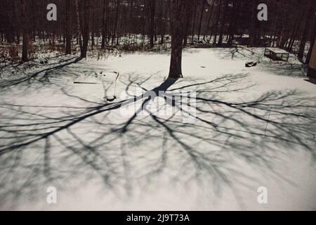USA, Vermont, Morrisville, moon shadow of ash tree on snow-covered lawn Stock Photo