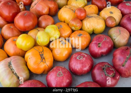 Issaquah, Washington State, USA. Heirloom tomatoes for sale at a Farmers Market Stock Photo