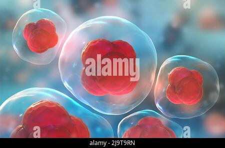 Cells under a microscope. Research of stem cells. Cellular Therapy. Cell division. 3d illustration on a light background Stock Photo