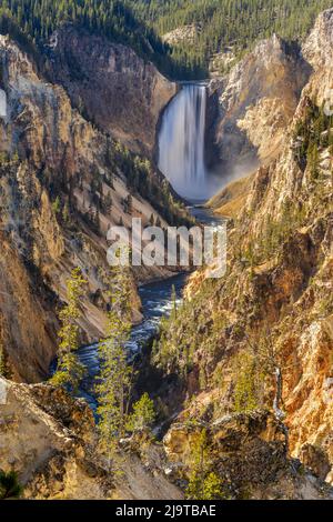 Lower Falls and colorful canyon walls of hydrothermally altered rhyolite, Grand Canon of the Yellowstone, Yellowstone National Park, Wyoming Stock Photo