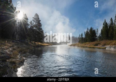 Sun rays streaming through trees along the Firehole River, Yellowstone National Park. Stock Photo