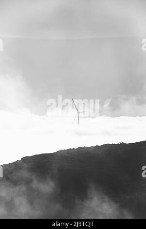 Wind turbine generating power for the city of Funchal on Madeira island emerging from the mist as the sun shines. Green and renewable energy. Stock Photo