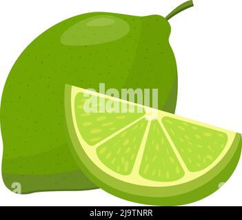 green lime fruit isolated on white background, flat design vector illustration Stock Vector