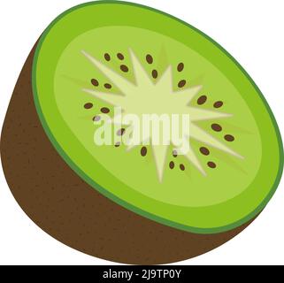 halved juicy kiwi fruit isolated on white background, flat design vector illustration Stock Vector