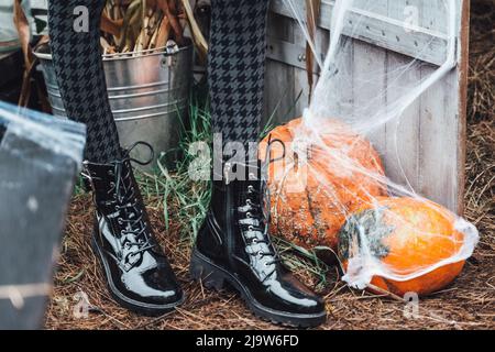 Beautiful scary little girl in black boots,checked tights celebrating halloween with pumpkins. Terrifying witch costume, stylish image. Horror, fun at Stock Photo