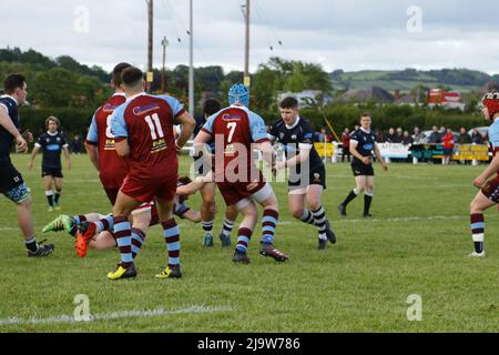 Tumble RFC v Lampeter RFC Plate final 2022 Stock Photo