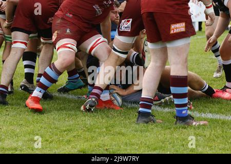 Tumble RFC v Lampeter RFC Plate final 2022 Stock Photo