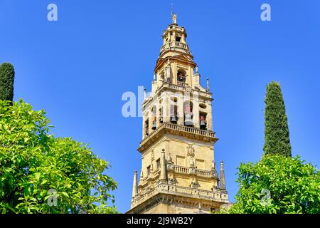 The Bell Tower of the Mezquita-Catedral (Mosque-Cathedral) of Cordoba, a UNESCO World Heritage Site. Patio de los Naranjos. Andalucia, Spain Stock Photo