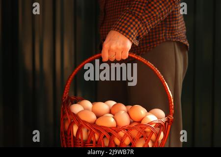 Many eggs in basket. Female hand holding whole basket of brown organic eggs on modern green background. Poultry farm. Eco product. Stock Photo