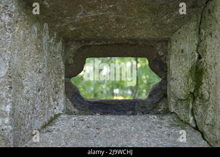View through shooting manhole to the outside. An old fortification fragment from the First World War, made from concrete with a lope hole - the small Stock Photo