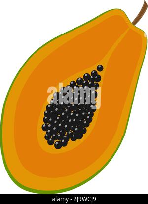 juicy red water melon isolated on white background, flat design vector illustration Stock Vector