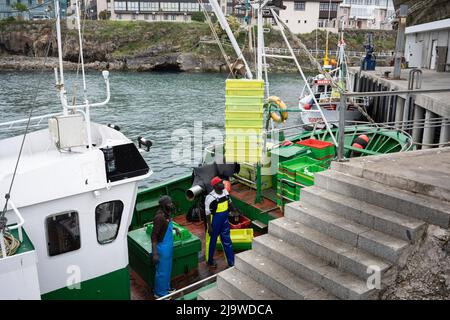 A haul of fish is landed by fishermen a Spanish harbour, on 13th May 2022, in Llanes, Cantabria, Spain. In 2019, Spain was the largest producer of both aquaculture products and fishery production in the EU-28 (UK included). Source: EUMOFA, based on Eurostat data. Landings comprise the initial unloading of any fisheries products from on board a fishing vessel in a given Member State. When measured by gross tonnage, Spain had, by far, the largest fishing fleet among Member States (24.9 % of the EU total). Stock Photo
