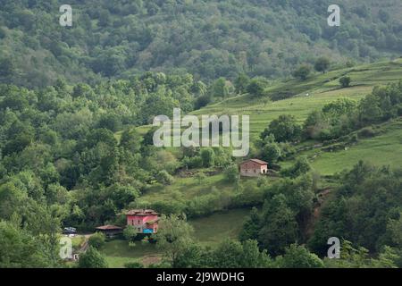 Hillside farming properties in the Picos mountain massif, on 14th May 2022, in Mesta de Con, Picos Mountains, Asturias, Spain. Stock Photo