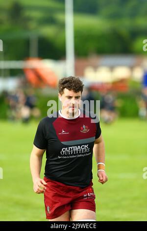 Tumble RFC v Lampeter RFC Plate final 2022 Stock Photo