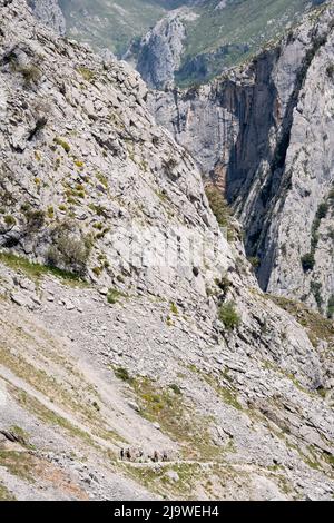 Walkers negotiate the rocky path in the Cares Gorge (Rio Cares), a major Spanish hiking destination for visitors to the Picos de Europa National Park, on 15th May 2022, near Poncebo, Picos Mountains, Asturias, Spain. Known as the “Divine Gorge”, the 22km trail stretches between Caín and Poncebos in Asturias among mountains over 2,000 metres tall, along the imposing ravine carved out by the river Cares. Stock Photo