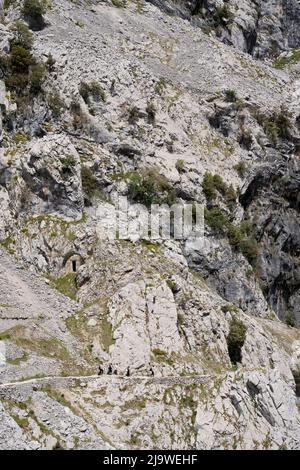 Walkers negotiate the rocky path in the Cares Gorge (Rio Cares), a major Spanish hiking destination for visitors to the Picos de Europa National Park, on 15th May 2022, near Poncebo, Picos Mountains, Asturias, Spain. Known as the “Divine Gorge”, the 22km trail stretches between Caín and Poncebos in Asturias among mountains over 2,000 metres tall, along the imposing ravine carved out by the river Cares. Stock Photo