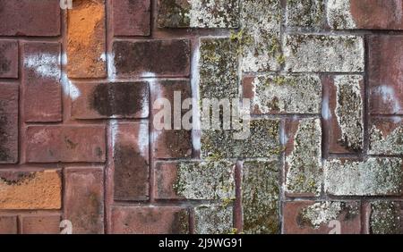 Old moss covered brick wall texture Stock Photo