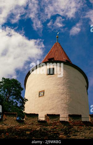 A historic tower of a castle on a beautiful sunny day. There are two small square windows on the tower and a tree, a pine, on the left side of the tow Stock Photo