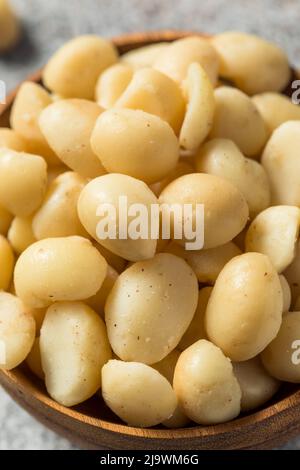 Raw Shelled Organic Macadamia Nuts in a Bowl Stock Photo