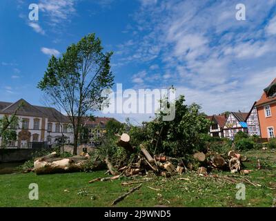 Tornado in Paderborn 20. Mai 2022 Tief Emmelinde Stock Photo