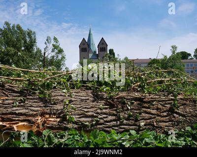 Tornado in Paderborn 20. Mai 2022 Tief Emmelinde Stock Photo