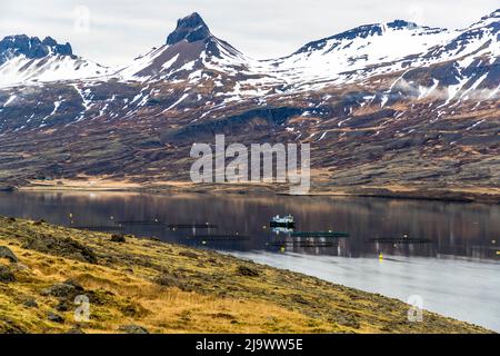 In an eastern fjord of Iceland Stock Photo