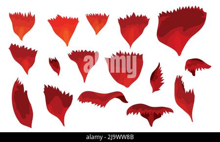 Beautiful set with differents size of carnation petal, also with different red tones over white background. Stock Vector