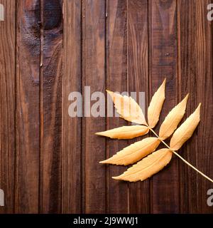 Autumn frame for your idea and text. Autumn fallen dry leaves of orange, laid out on the left side of the frame on an old wooden board of brown color. Stock Photo