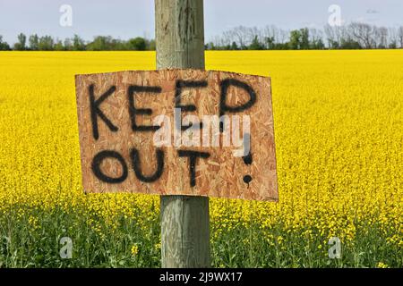 Homemade Keep Out Signs Posted at Edge of Canola Field to Warn Trespassers to Stay Out  Stock Photo
