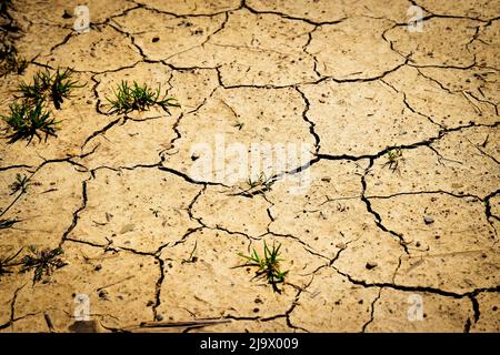 background or texture Cracked dry sandy soil Stock Photo