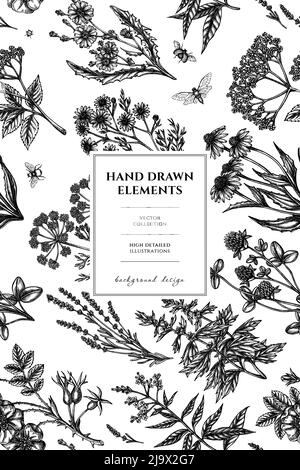 Tea herbs pattern card design. Hand drawn chamomile, chicory, cinnamon rose, etc. Stock Vector