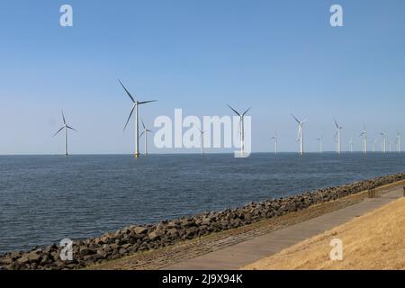 Modern wind turbines in the Noordoostpolder in the Netherlands for sustainable electricity Stock Photo