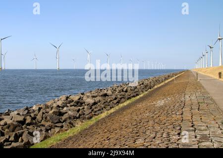 Modern wind turbines in the Noordoostpolder in the Netherlands for sustainable electricity Stock Photo