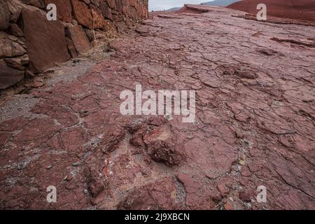 dinosaur footprints, middle to upper jurassic, geo park Iouaridene, Beni Mellal-Khenifra, Atlas mountain range, morocco, africa Stock Photo