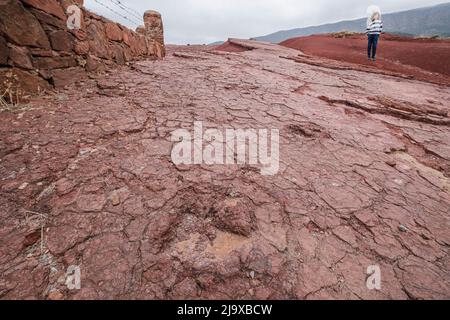 dinosaur footprints, middle to upper jurassic, geo park Iouaridene, Beni Mellal-Khenifra, Atlas mountain range, morocco, africa Stock Photo