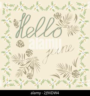 hello june banner frame of white flowers on a light background Stock Vector
