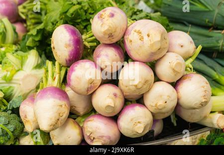 Fresh turnip at farmers market stall ready for sale Stock Photo