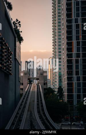 train miami sunset city buildings Stock Photo - Alamy