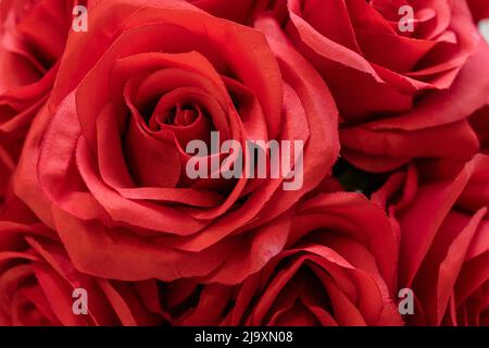 Red Rose Colouring In Close up of a single artificial red rose flower hanging against a soft ...