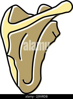 scapula bone color icon vector illustration Stock Vector Image & Art ...