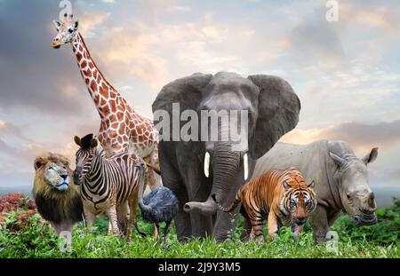 group of wildlife animals in the jungle together Stock Photo - Alamy