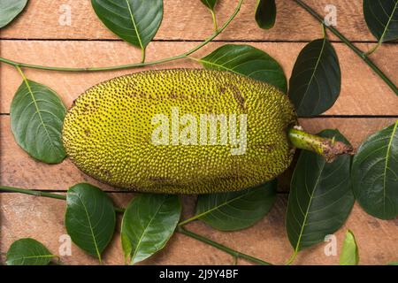 jackfruit on a wooden table with jack tree leaves in the background, largest tree fruit in the world, tropical fruit native to southeast asia, closeup Stock Photo