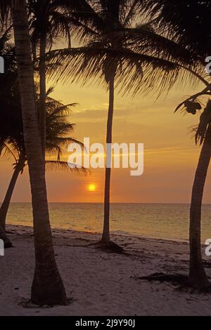 Romantischer Sonnenuntergang am Strand vom Resort Maria la Gorda, Pinar del Rio, Kuba, Karibik | Romantic sunset at the beach of Maria la Gorda Resort Stock Photo