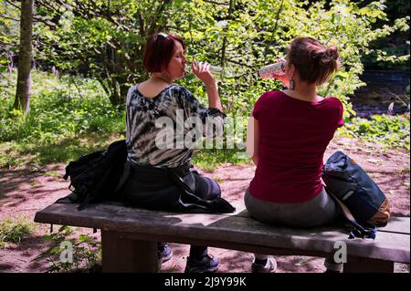 Mature women sitting on a bench in nature and drinking water Stock Photo