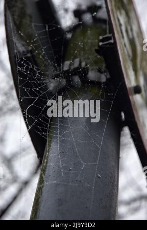 cobwebs on roadsign, england Stock Photo