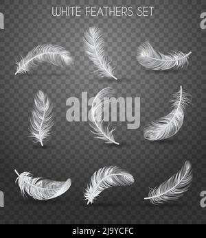 Realistic feather transparent set with white feathers set headline soft and light concept vector illustration Stock Vector
