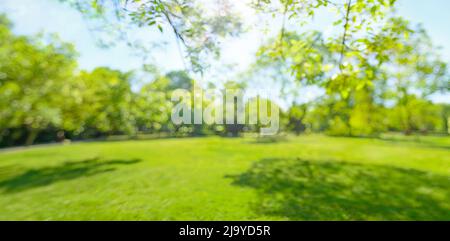 soft focus blurred abstract background tree and grass in spring park Stock Photo