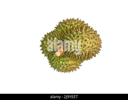 Isolated top view whole Thailand ripe durian on white background. Stock Photo