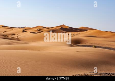 Erg cherby, Morocco, africa Stock Photo